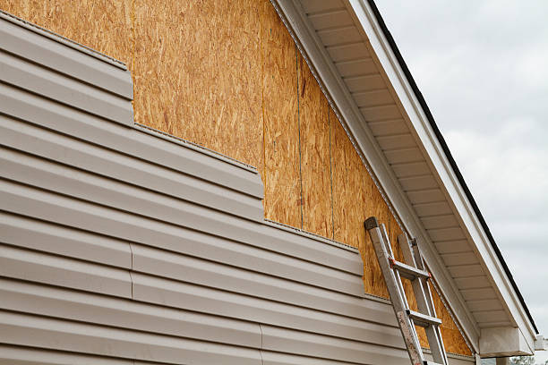 Professional Siding Inspection technician working in Woodville, TX